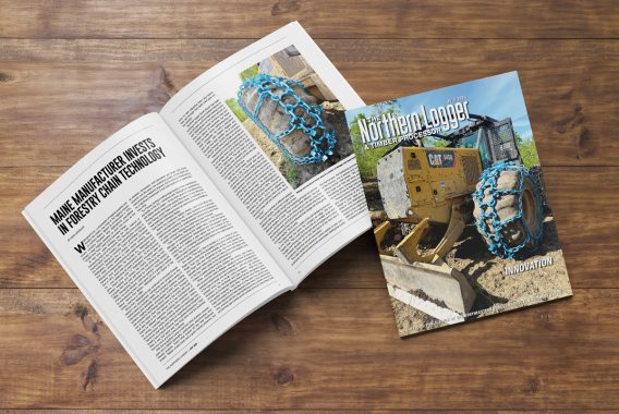Northern Logger editorial preview